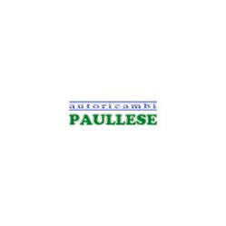 Autoricambi Paullese, Palazzo Pignano orari di apertura