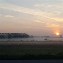 Autorimessa Centrale, Novara orari di apertura