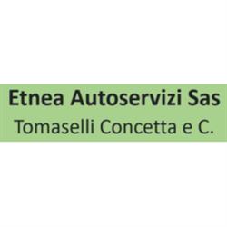 Autorimessa Etnea Autoservizi, Catania orari di apertura