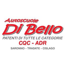 Autoscuola Catelli Di Bernasconi Roberta e Di Bello Pasquale S.n.c., Tradate orari di apertura