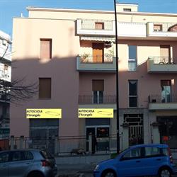 Autoscuola D'arcangelo, Pescara orari di apertura