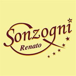 Autoservizi Renato Sonzogni e C. (S.n.c.), Zogno orari di apertura