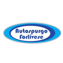 Autospurgo Forlivese, Forlì orari di apertura