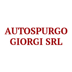 Autospurgo Giorgi, Anzio orari di apertura