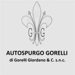 Autospurgo Gorelli s.n.c, Castelfiorentino orari di apertura
