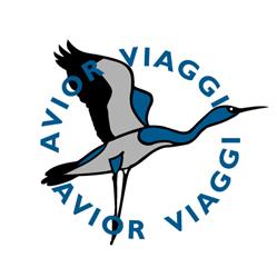 Avior Viaggi, Milano orari di apertura
