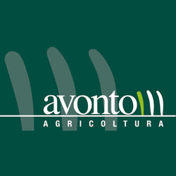 Avonto, Villanova Monferrato orari di apertura