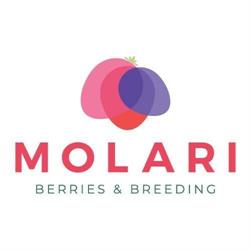Az. Agr. Molari & Gatti Di Molari Gilberto, Cesena orari di apertura