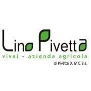 Azienda Agricola Vivai Pivetta Lino & C., Porcia orari di apertura