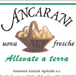 Azienda Agricola Ancarani, Castel San Pietro Terme orari di apertura