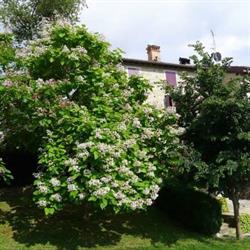 AZIENDA AGRITURISTICA CAMPO DEL PILLO, Castelnovo ne' Monti orari di apertura