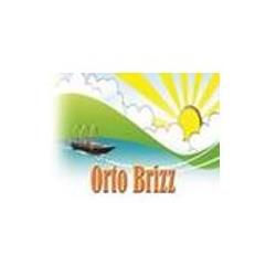 Societa' Agricola Brizzolara Luigi, Colverde orari di apertura