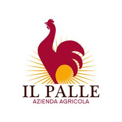 Azienda Agricola Il Palle, Ciggiano orari di apertura