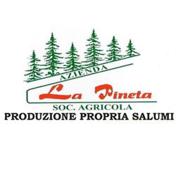 Azienda Agricola La Pineta Di Manzone A. & C. (S.n.c.), Neive orari di apertura