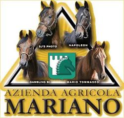 Azienda Agricola Mariano SPA, Noceto orari di apertura