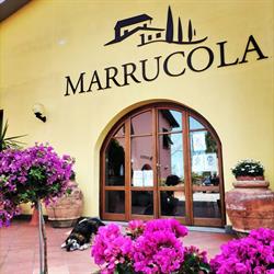Azienda Agricola Marrucola Di Bellucci Mariella, San Miniato orari di apertura