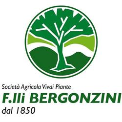 Vivai F.lli Bergonzini, San Cesario sul Panaro orari di apertura