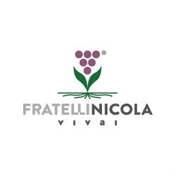 Azienda Agricola Vivai F.lli Nicola, Mombercelli orari di apertura