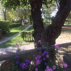 Agriturismo Al Vecio Moraro, Mogliano Veneto orari di apertura