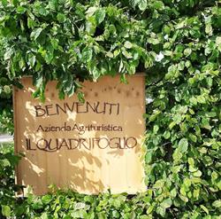Azienda Agrituristica Il Quadrifoglio, Faenza orari di apertura