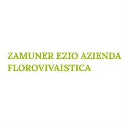 Zamuner Ezio Azienda Florovivaistica, Vigliano Biellese orari di apertura