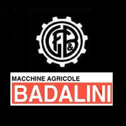 Badalini Giorgio, Rivarolo Mantovano orari di apertura
