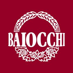 Baiocchi SRL, San Mauro Pascoli orari di apertura