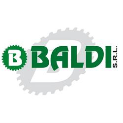 Baldi SRL, San Martino Siccomario orari di apertura