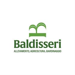 Baldisseri Maria (S.n.c.), Vicenza orari di apertura