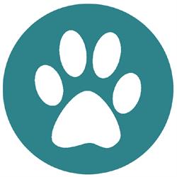 Clinica Veterinaria Aurelia, Collesalvetti orari di apertura