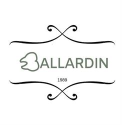 Studio Dentistico Ballardin Dr. Simone, Castelfranco di Sotto orari di apertura