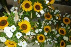 Balzi Giulio-Fiori e Piante - Bouquet Da Sposa Servizio a Domicilio in Tutta Roma Bancomat e Carte, orari di apertura