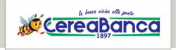 CEREABANCA 1897, Ostiglia orari di apertura