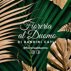 Bandini Catia, Ravenna orari di apertura