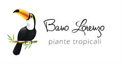 Bano Lorenzo, Campodarsego orari di apertura