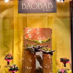 Baobab SNC, Firenze orari di apertura