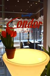 Condor Caffè, Ferrara orari di apertura