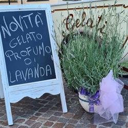 G. Verdi Cafè, Pietra Ligure orari di apertura