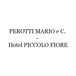 Perotti Mario e C. - Piccolo Fiore, Avio orari di apertura