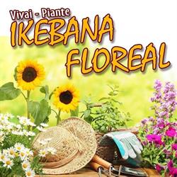 Vivai Piante Ikebana Floreal Di Senatore S., Cava de' Tirreni orari di apertura