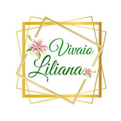 Vivaio Liliana, Ferentino orari di apertura