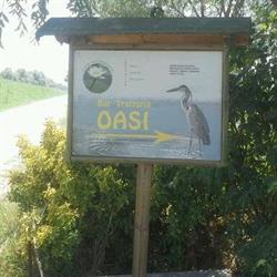 Bar Oasi, Argenta orari di apertura