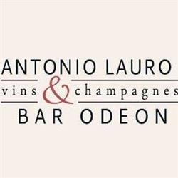 Odeon Wine Bar, Biella orari di apertura