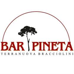 Bar Pineta S.d.f., Terranuova Bracciolini orari di apertura