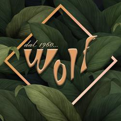 Bar Wolf Di Cavedagna Andrea, Bologna orari di apertura