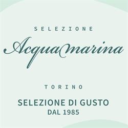 Bar Gelateria Acquamarina, Torino orari di apertura