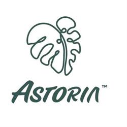 Bar Astoria, Udine orari di apertura