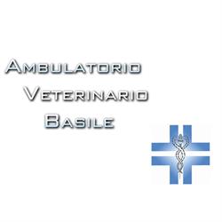 Basile Alessandro (Dr.), Grottaglie orari di apertura