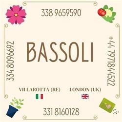 Bassoli Ivano, Villarotta orari di apertura