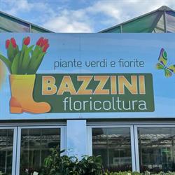 Floricoltura Bazzini Paolo, Cassano Magnago orari di apertura